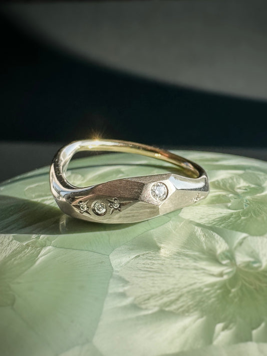 Freeform Sculpt Ring